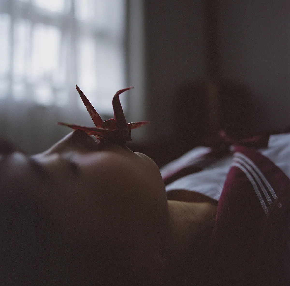 Aozaki © 2016