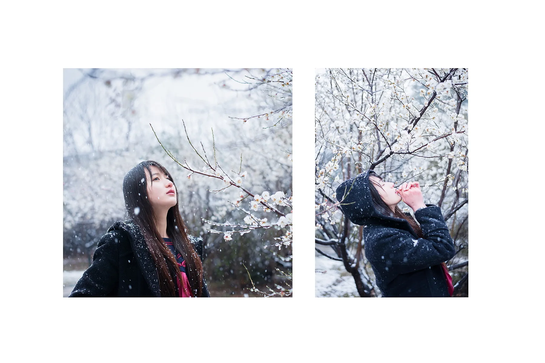 Aozaki © 2015