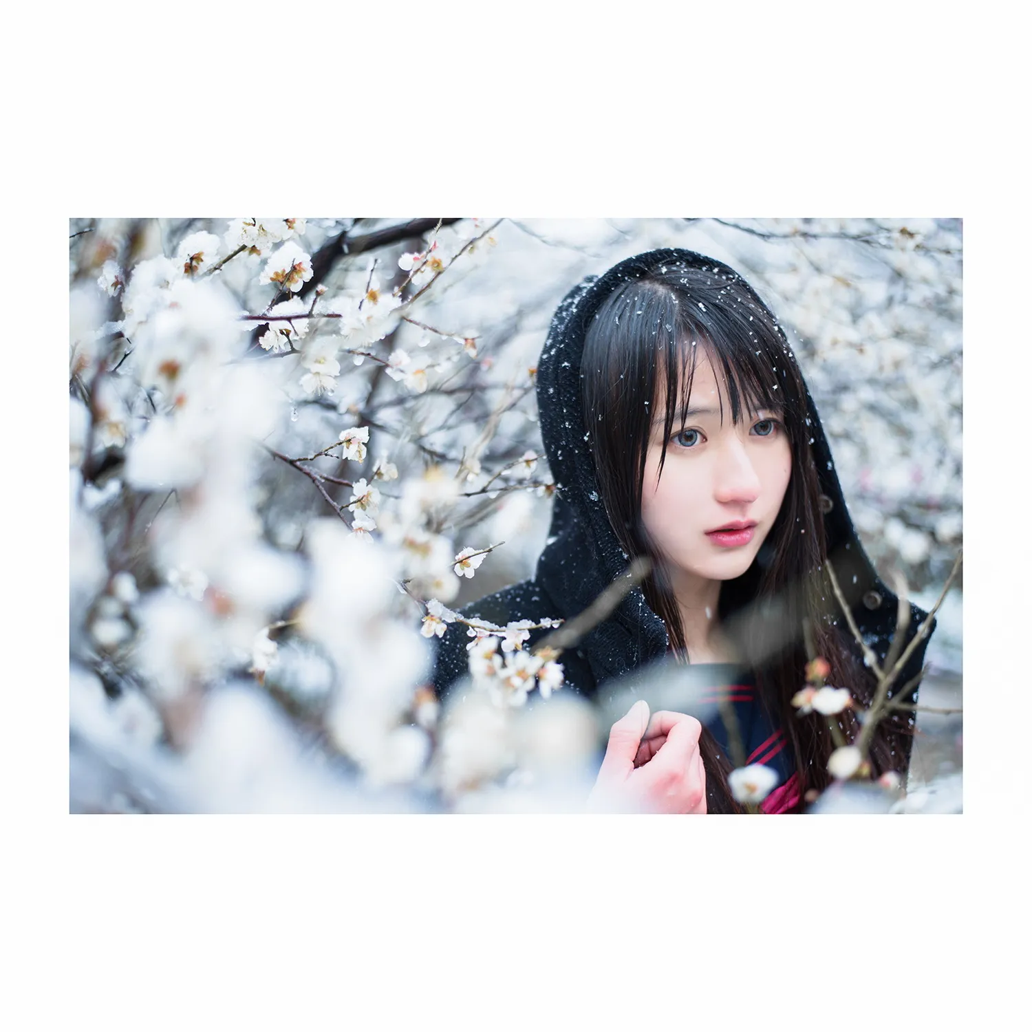 Aozaki © 2015