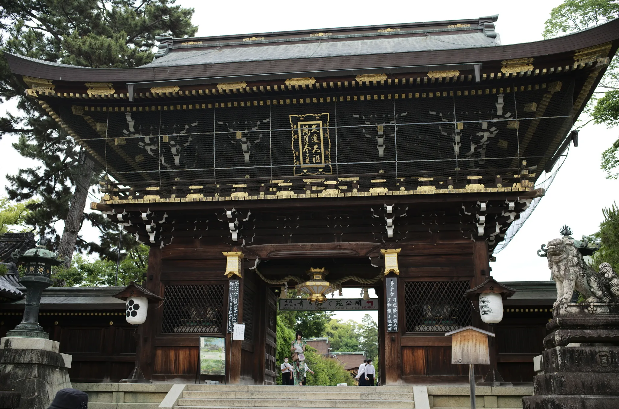 L1004569