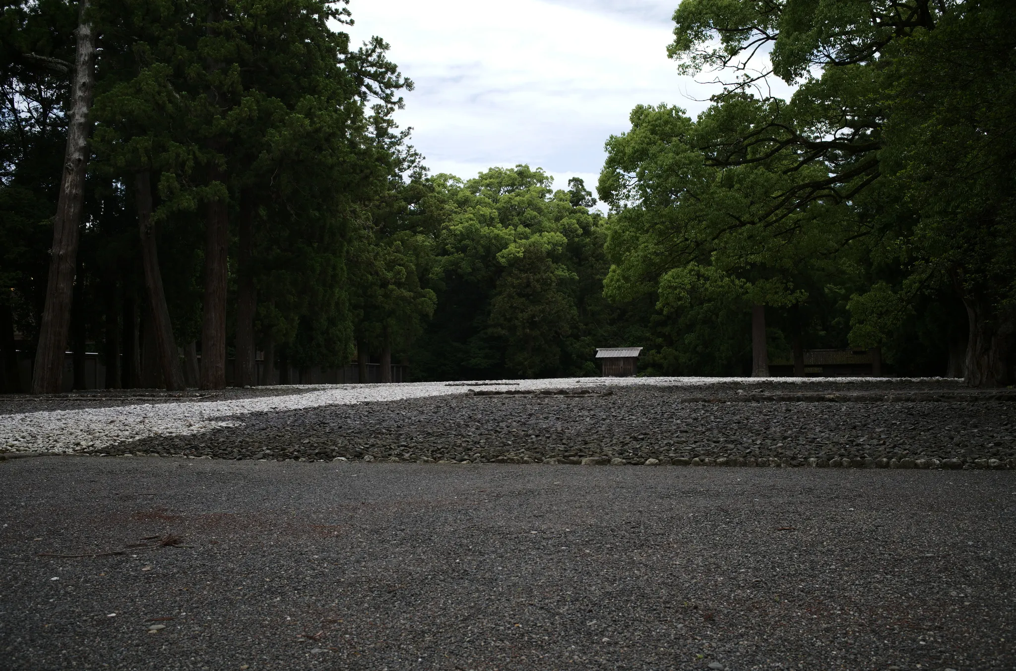 L1004595